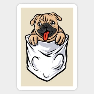 Pug Dog IN Pocket Magnet